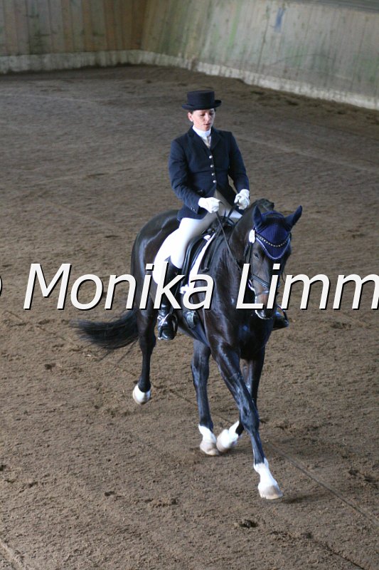 006M6495_Dressurpferde A.JPG